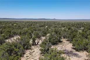 53555 N Markham Pass, Seligman, AZ 86337 - Photo 21