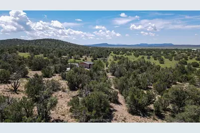 53555 N Markham Pass, Seligman, AZ 86337 - Photo 23