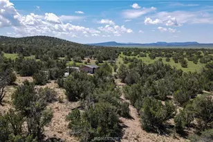 53555 N Markham Pass, Seligman, AZ 86337 - Photo 23