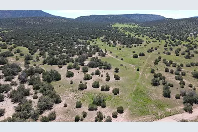 53555 N Markham Pass, Seligman, AZ 86337 - Photo 31