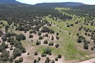 53555 N Markham Pass, Seligman, AZ 86337 - Photo 31