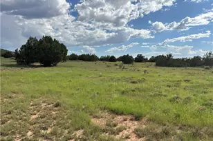 53555 N Markham Pass, Seligman, AZ 86337 - Photo 37