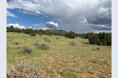 53555 N Markham Pass, Seligman, AZ 86337 - Photo 35