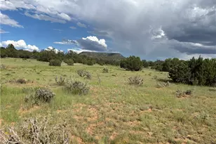 53555 N Markham Pass, Seligman, AZ 86337 - Photo 35