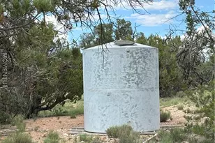 53555 N Markham Pass, Seligman, AZ 86337 - Photo 45