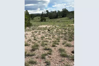 53555 N Markham Pass, Seligman, AZ 86337 - Photo 47
