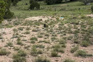53555 N Markham Pass, Seligman, AZ 86337 - Photo 47