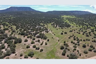 53555 N Markham Pass, Seligman, AZ 86337 - Photo 33