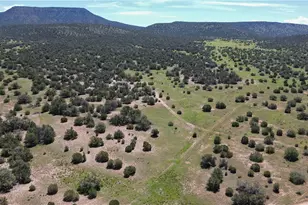 53555 N Markham Pass, Seligman, AZ 86337 - Photo 33
