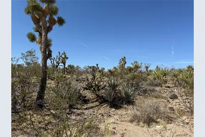 328-04-362 Mesquite Road, Dolan Springs, AZ 86441 - Photo 13