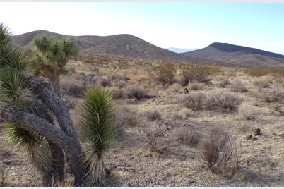 342-05-025 By Mohave Dr, White Hills, AZ 86445 - Photo 9
