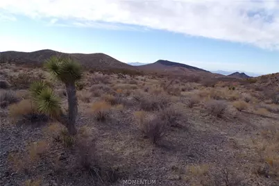 342-05-025 By Mohave Dr, White Hills, AZ 86445 - Photo 33