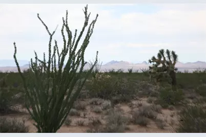 243-15-016 S Custer Road #3491, Yucca, AZ 86438 - Photo 45