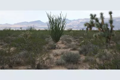 243-15-016 S Custer Road #3491, Yucca, AZ 86438 - Photo 47