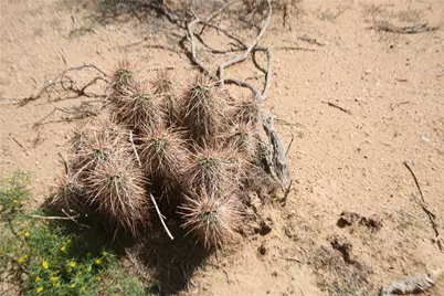 243-15-016 S Custer Road #3491, Yucca, AZ 86438 - Photo 3