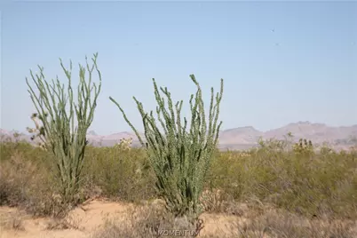 243-15-016 S Custer Road #3491, Yucca, AZ 86438 - Photo 15