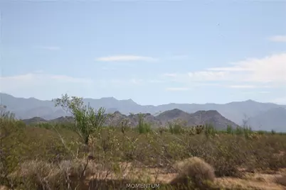 243-15-016 S Custer Road #3491, Yucca, AZ 86438 - Photo 5