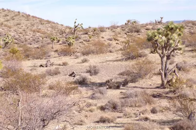 342-05-053 Off Of Mohave Dr, White Hills, AZ 86445 - Photo 13