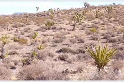342-05-053 Off Of Mohave Dr, White Hills, AZ 86445 - Photo 15