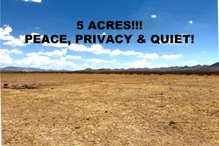 351-15-049 N Jerry Rd, Dolan Springs, AZ 86441 - Photo 1