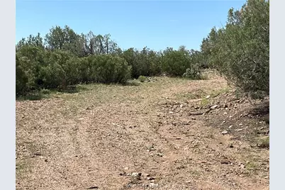 352-33-004 N Willows Ranch Road, Kingman, AZ 86401 - Photo 15