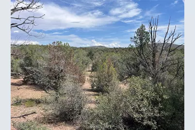 352-33-004 N Willows Ranch Road, Kingman, AZ 86401 - Photo 7