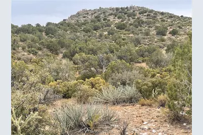 254-26-001 Near Knight Creek Road, Kingman, AZ 86401 - Photo 13