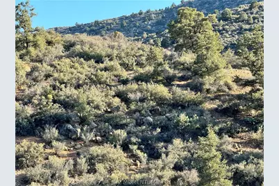 254-28-001 Squaw Springs, Kingman, AZ 86401 - Photo 9