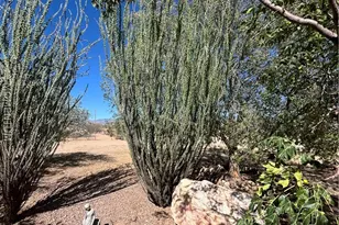 5485 and 5490 N Laguna Rd, Golden Valley, AZ 86413 - Photo 73