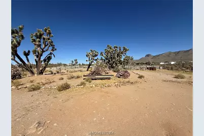 16676 N Kingman Drive, Dolan Springs, AZ 86441 - Photo 7