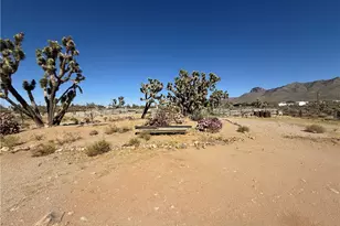 16676 N Kingman Dr, Dolan Springs, AZ 86441 - Photo 7