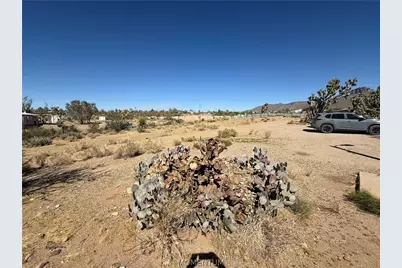 16676 N Kingman Drive, Dolan Springs, AZ 86441 - Photo 17