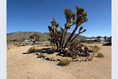 16676 N Kingman Drive, Dolan Springs, AZ 86441 - Photo 11