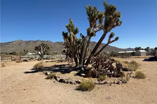 16676 N Kingman Dr, Dolan Springs, AZ 86441 - Photo 11
