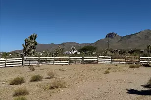 16676 N Kingman Dr, Dolan Springs, AZ 86441 - Photo 9