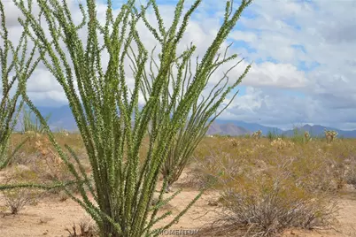 207-17-169A S Cherry Road, Yucca, AZ 86438 - Photo 57