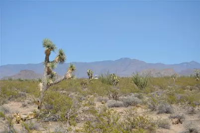 207-17-169A S Cherry Road, Yucca, AZ 86438 - Photo 21