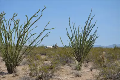 207-17-169A S Cherry Road, Yucca, AZ 86438 - Photo 25