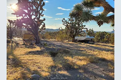 26821 N Bullhead Road, Meadview, AZ 86444 - Photo 9