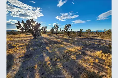 26821 N Bullhead Road, Meadview, AZ 86444 - Photo 13