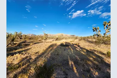 26821 N Bullhead Road, Meadview, AZ 86444 - Photo 11