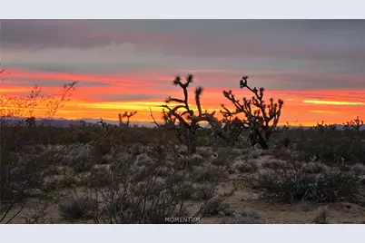 123-12-004 S Wild Bill Road, Yucca, AZ 86438 - Photo 13
