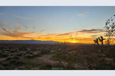 123-12-004 S Wild Bill Road, Yucca, AZ 86438 - Photo 11