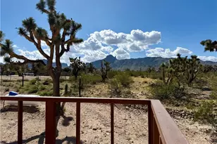 17320 N Mead Dr, Dolan Springs, AZ 86441 - Photo 43