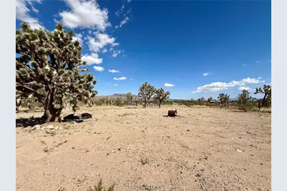 17320 N Mead Drive, Dolan Springs, AZ 86441 - Photo 39