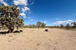17320 N Mead Dr, Dolan Springs, AZ 86441 - Photo 39
