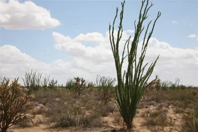 242-05-015, 016 Gene Autry Road, Yucca, AZ 86438 - Photo 23