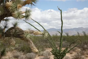 242-05-015 016 Gene Autry Rd, Yucca, AZ 86438 - Photo 1