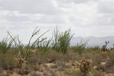 242-05-015, 016 Gene Autry Road, Yucca, AZ 86438 - Photo 25