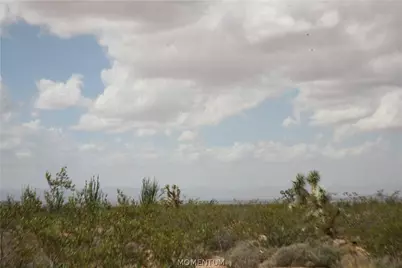 242-05-015, 016 Gene Autry Road, Yucca, AZ 86438 - Photo 13